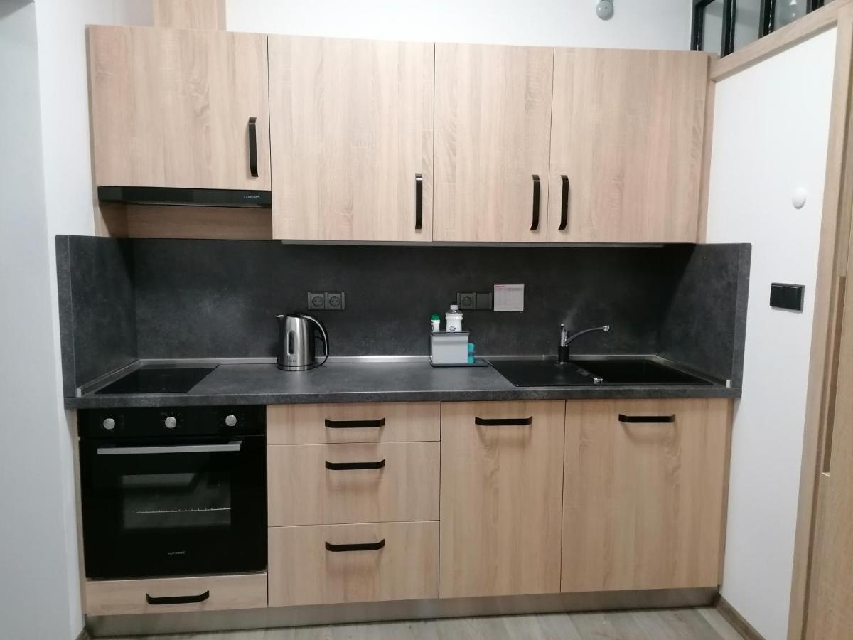 Apartmán 88 Červená Voda Esterno foto
